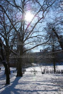Der Berliner Lietzensee im Winter... Der Berliner Lietzensee im Winter...